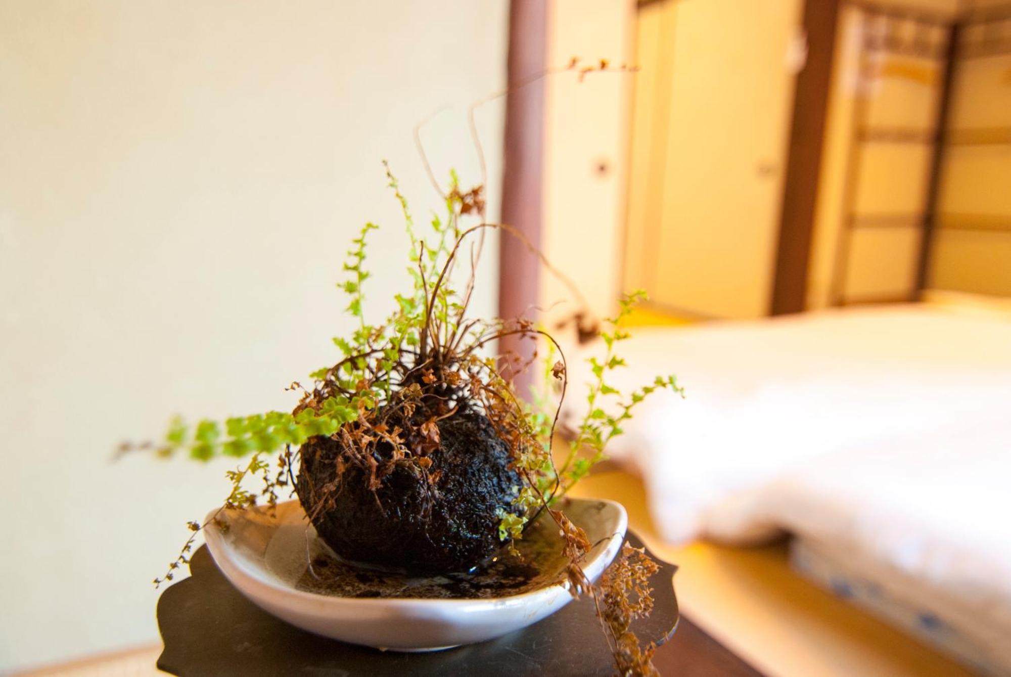 Kyo No Yado Bamboo Town Villa Kyoto Dış mekan fotoğraf