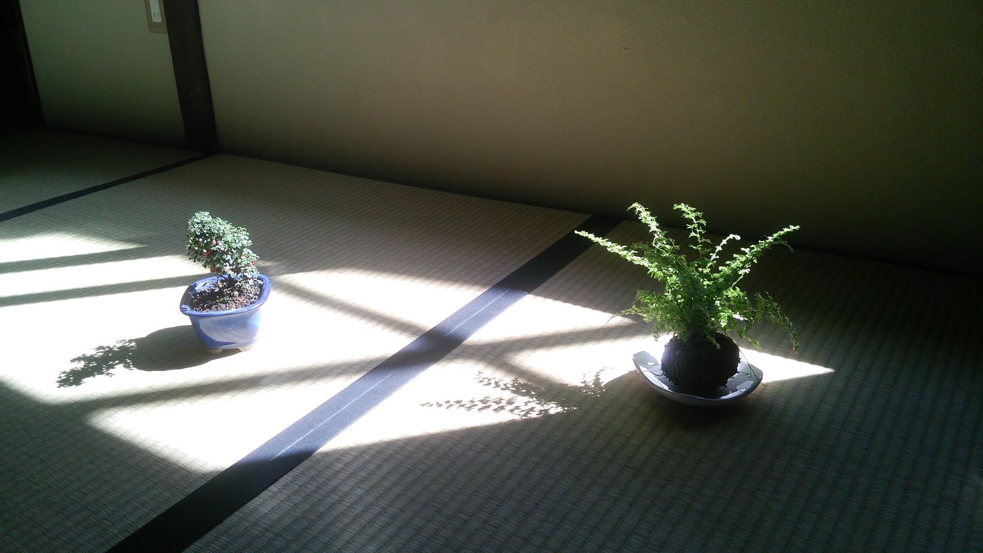 Kyo No Yado Bamboo Town Villa Kyoto Dış mekan fotoğraf